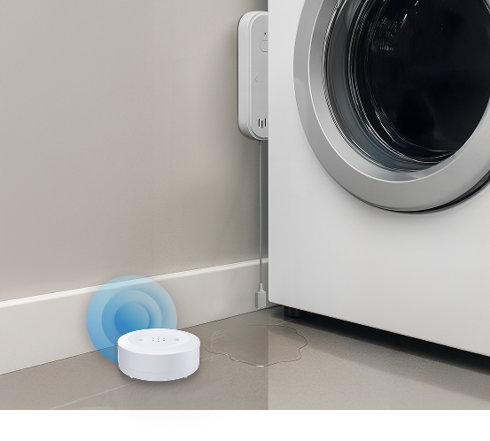 Residential Leak Protection