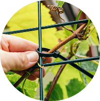 Cable ties
